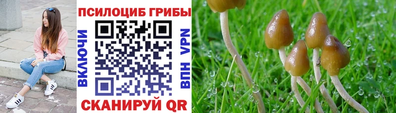 hydra ССЫЛКА  где купить наркотик  Батайск  Псилоцибиновые грибы мухоморы 