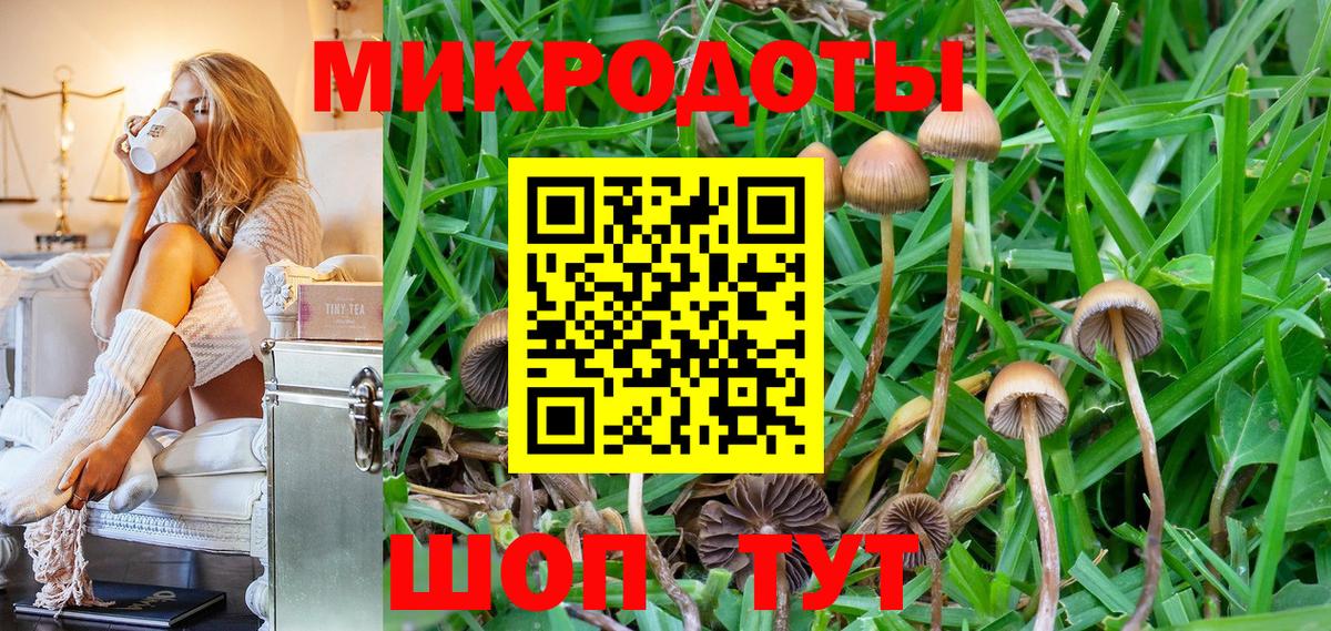 Псилоцибиновые грибы мухоморы Батайск
